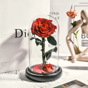 En-gros frumoasa si Bestia Flori Proaspete Roșu Etern Trandafiri Într-O Cupolă de Sticlă Valentine Cadou de Crăciun Dropshiping