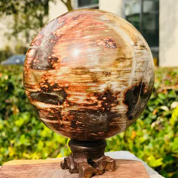 Naturale, lemn pietrificat glob de cristal lustruit minge de vindecare decor cadou