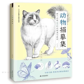 Schiță De 100 De Tipuri De Animale Linie Desen Copie Album Zero Bază Schiță Curs De Desen, Carte De Artă Libros Art Livros